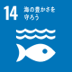 SDGs　海の豊さを守ろう